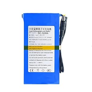 RitzyRose 12 V, 12,6 V, 4800 mAh, 6800 mAh, 9800 mAh, 15000 mAh, 2000 mAh, lithium-ion batterij, DC, oplaadbaar met BMS…