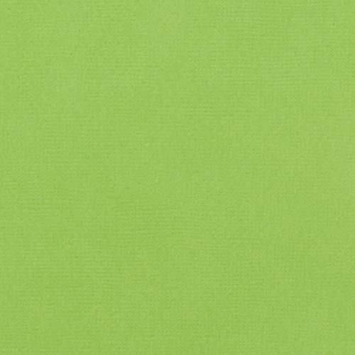 American Crafts Textured Cardstock 12"X12"-Cricket