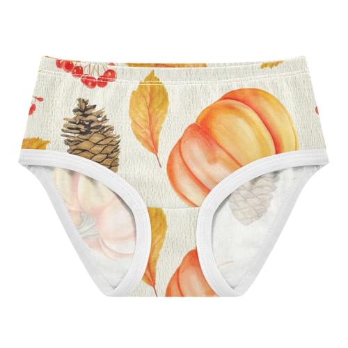 Autumn Orange Pumpkins Girls Underwear Toddler 2t Cotton Cute Panties Girl Flower Underpants Briefs
