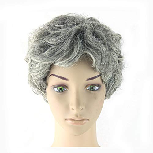 Perruque Perruque, Dames Naturelles De Haute Qualité Grand-mère Ash Cheveux Courts Bouclés Doux Résistant À La Chaleur Synthétiques Cosplay Postiches Cover