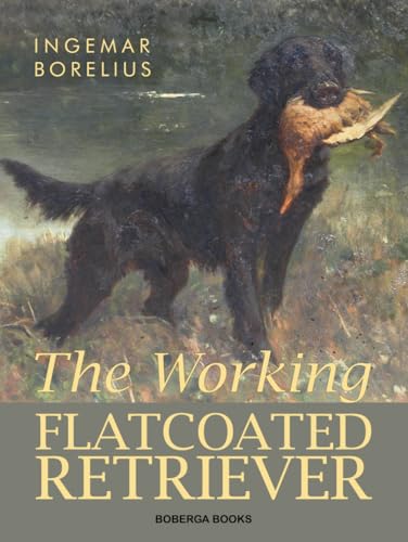 The Working Flatcoated Retriever