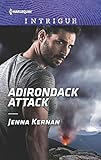 Adirondack Attack (Protectors at Heart Book 2)