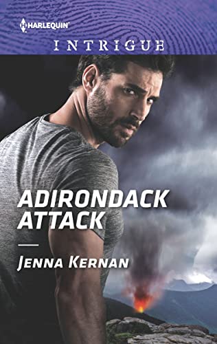 Adirondack Attack (Protectors at Heart Book 2)