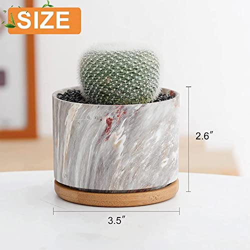 Deecoo Succulent Pots With Drainage Tray, 3.5 Inch Succulent Planters, Marble Planter Pots For Cactus, Ceramic Pots Set Of 4 For Mini Plant, Small Plant Pots #TOP1
