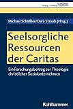 Seelsorgliche Ressourcen der Caritas: Ein Forschungsbeitrag zur Theologie christlicher Sozialunternehmen (DIAKONIE: Bildung - Gestaltung - Organisation, 25, Band 25)