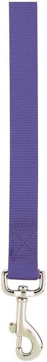Zack & Zoey Basic Nylon Dog Leash, 6-Feet x 1-Inch Lead, Ultra Violet