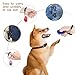 NETTEMPT 5 Pack Dog Clicker, Pet Training Clicker with Wrist Strap