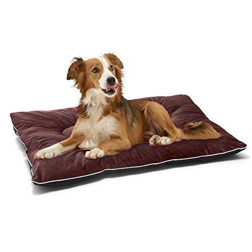 Petslover Bed Crate Mat Anti-Slip Kennel Pad Washable Velvet Dog Cozy Mattress for Dog & Cat Pets (Export Quality) - Small