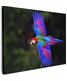 MuchoWow© Cuadros Decoracion Salon Modernos 70x50 cm Dormitorios Cuadro Decorativos de Salon Lienzos Decorativo Decoración Modernos Cabecero Cama Brillante - Guacamayo - Naturaleza - Vuelo