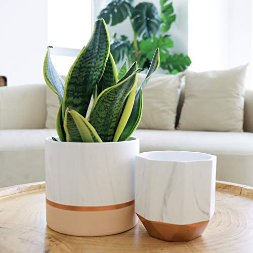 La Jolie Muse White Ceramic Flower Pots - 6.7 + 5.4 Inch Indoor Planters, Plant Containers In A Marble Ink Pattern With Rose Gold And Pink Detailing #TOP1