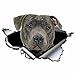 BONOCO Wykwintne naklejki samochodowe kreatywne niebieskie pitbull zwierzę domowe pies naklejka samochodowa podarta metalowa naklejka odblaskowe wodoodporne naklejki dekoracyjne winylowe, 13 cm x 7 cm śmieszne naklejki (styl: Nie-refektywne)