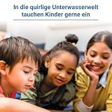 Die Schreib-Krake - Lernspiel ab 6 Jahre: Schreiben lernen mit Kritzi Krakel