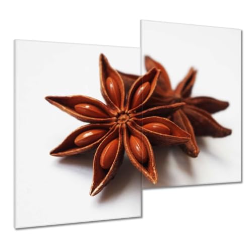 Peinture sur toile Anis étoilé 80 x 70 cm décoration murale haut de gamme H8503M