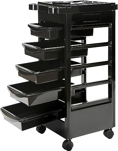 HYGRAD 6 Tier Hairdresser Trolley Beauty Salon Trolley Practical For Salon Essentials Easy To Move Compartment Trolley For Hairdresser Accessories.