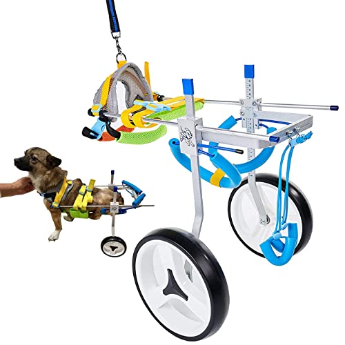 4 Best Dog Wheelchairs [2024 Review] Top Canine Mobility Aids!