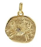 Sternzeichen-Anhänger in 585 Gold/14 Karat. Motiv: Krebs (22.06.-22.07.). Durchmesser Gold-Anhänger: 16 mm. Kombinierbar mit trendor Gold-Ketten. Passende Ketten finden Sie in unserem Sortiment