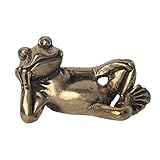 TOYANDONA Brass Frog Figurine Mini Frog Figures Fengshui Animal Statue Wealth Figurine Decorative Co