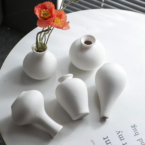 Tanvecle 5PC VASE - WHITE Small White Vases, Ceramic Bud Vase Set Of 5 thumb #2