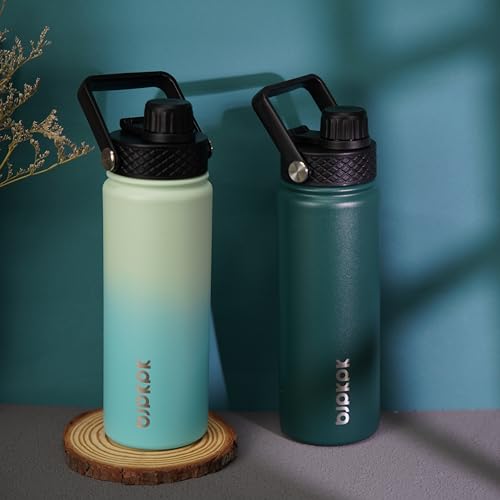 Image of BJPKPK 2 Pack 22oz Insulated Water Bottles with Straw Lids, Stainless Steel