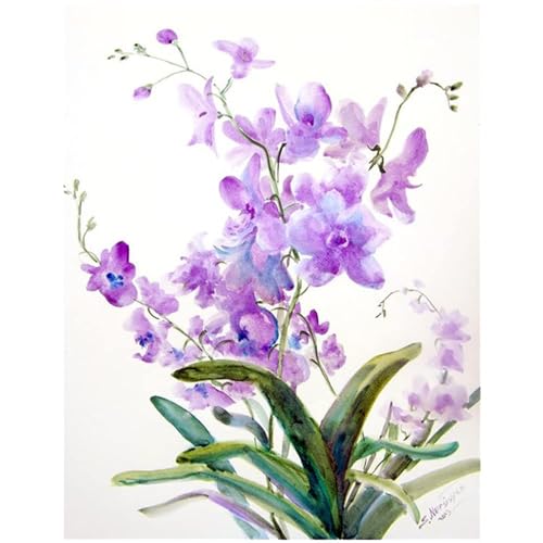 Juego completo pintura de diamante 5D con piedras cuadradas de orquídea phalaenopsis 40x50cm para manualidades puzzle numeros cuadro de punto de cruz para niños square diamond painting kit completo