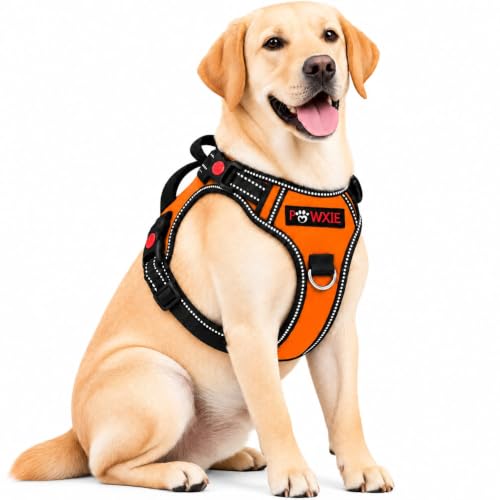 Image of No Pull Dog Chest Belt Harness, Comfortable & Adjustable Size for 24-35 Kg Pet (Orange, Large)