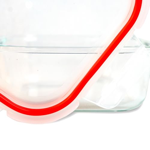 El Mejor Listado de Contenedor hermetico rojo disponible en línea. 27 Imagen adicional