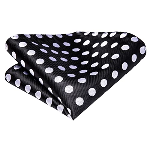 Black with Silver Polka Dots Ties for Men Wedding