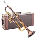 Singer's day SDTR-2019RG Heavy Duty Red Antique and Gold Trumpet with Hand Engraving Flower