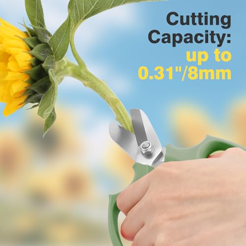 Image of Housolution Flower Scissors, Strong Floral Shears, Premium Steel Garden Pruning Shears Floral Fruits Leaf Scissors Hand Pruner Snip Trimming Tool for Gardening Flower Arrangement, Avocado Green