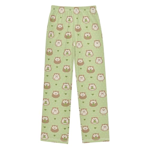 ZZXXB Happy St Patrick's Day Hedgehog Boys Long Pants Soft Trousers Elastic Waist Kids Lounge Bottoms with Pockets S-XL