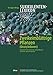 Produktbild Sukkulenten-Lexikon, Bd.2, Zweikeimblättrige Pflanzen (Dicotyledonen) ausgenommen Aizoaceae, Asclepiadaceae, Cactaceae und Crassulaceae