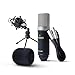 Marantz Professional MPM-1000 - Microfono da studio a condensatore XLR con...