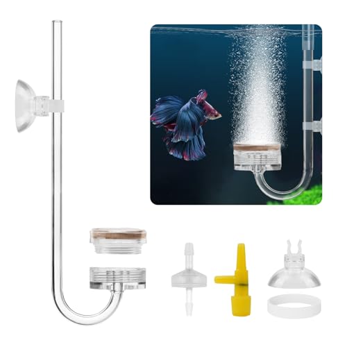 [Caividom]GA[fBt[U[ GA[Xg[ GA|vp _f⋋ Ϗ܋AN Mы