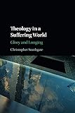 Theology in a Suffering World
