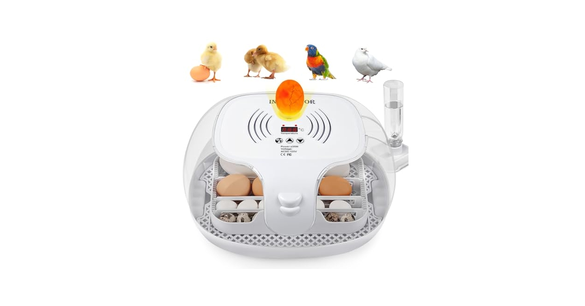 egg バニティ Maxi 24 Advance fully digital 24 egg incubator