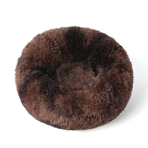 [ADSNS] ybgxbh xbh ybgNbV 60 ybg}bg ybg\t@ Eh^ J[20 ی^ h[icybgxbh 薰 ӂӂ  g ~ h 5TCYI 􂦂 ӂ