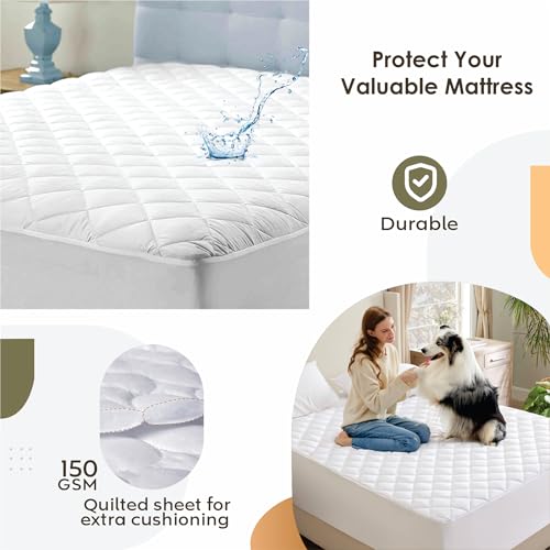 Image of Ayka 100% Waterproof Double Size 72x48 inch Cotton Quilted Mattress Protector Breathable Hypoallergenic Noiseless Ultra Soft Elastic Fitted Bed Protector Mattress /Bed Cover (White, Double (72 * 48 inch))