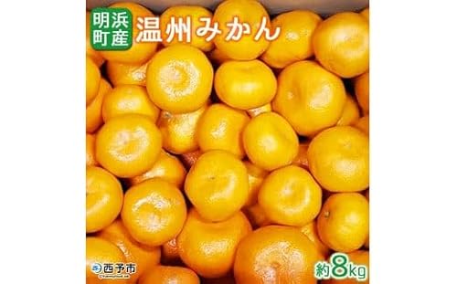 産地直送!!愛媛県明浜町産 温州みかん8kg(宇都宮農園)