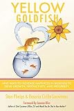 Yellow Goldfish: Nine Ways to Increase Happiness in Business to Drive Growth, Productivity, and Prosperity