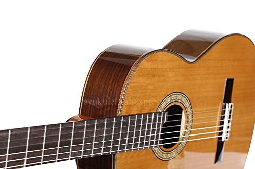 Amazon | Guitar Professional 39インチギターシダー/マホガニー