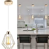 Laihezz 1-Light Modern Gold Finish Pendant Light,with Metal Cage Kitchen Island Hanging Pendant Ligh