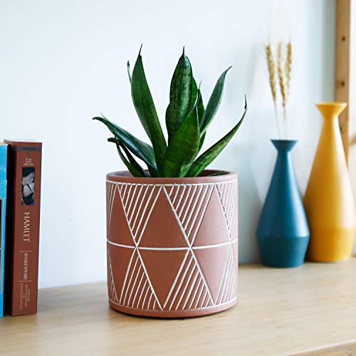 Greenaholics Plant Pots- 4.75 inch Cement Planters Flower Pots, for Snake Plant, Medium Indoor Plant, Vintage Style, Unglazed Medium Bonsai, with Drainage Hole, Terracotta - Thumbnail 7