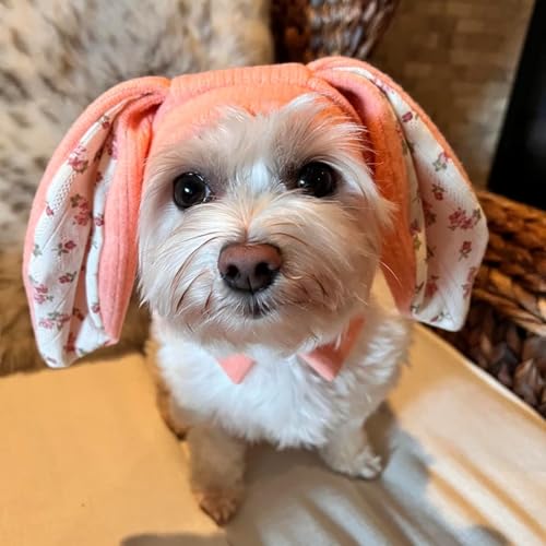Rabbit Quiet Ears for Dogs & Cats - Knitted Dog Hats with Noise Protection & Warmth - Winter Hat & Head Wrap - Bunny Costume (Pink, Small)
