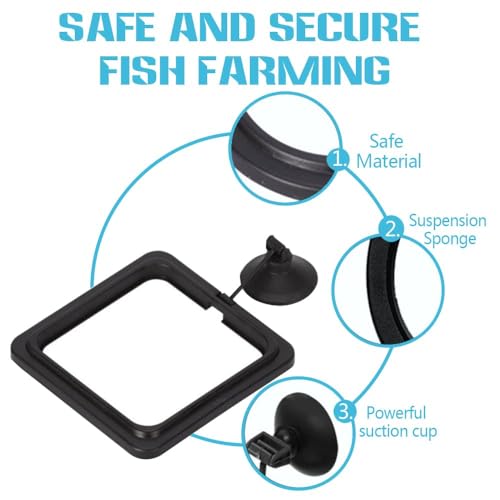 Image of Fish Feeding Ring, Fish Safe Floating Food Feeder Circle Blue, with Suction Cup Aquarium, Square and Round Shape Fish Tank Towels - for Guppy, Betta, Goldfish, Etc (1 Square)