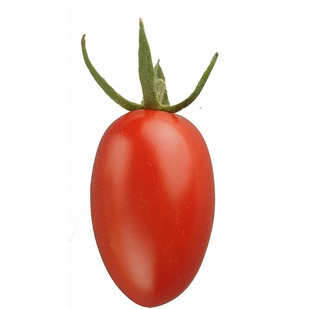 Amazon.co.jp: サントリー本気野菜 トマト苗 「純あま 4本セット