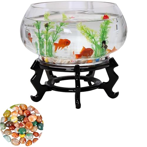  ANAE ی^ KX  ~j^N  ԕr Ϗ܋ A͔| CeA ی^ (20CM,A)