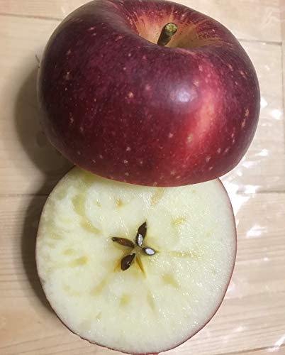 쌧Y Y_ƒ ̓񂲕iuVimzbyvNiGj Ɨp 10`20 4.7`5/ n11{珇Jn\Iinx̐isɂn͑Oサ܂j