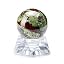 Dragon Blood Jasper