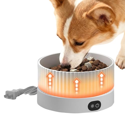 Gamelle d'eau chauffée pour chats et chiots à 3 niveaux de température - 8