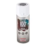 peltro 95 italy  SMALTO SPRAY ANTICHIZZANTE PELTRO AREXONS